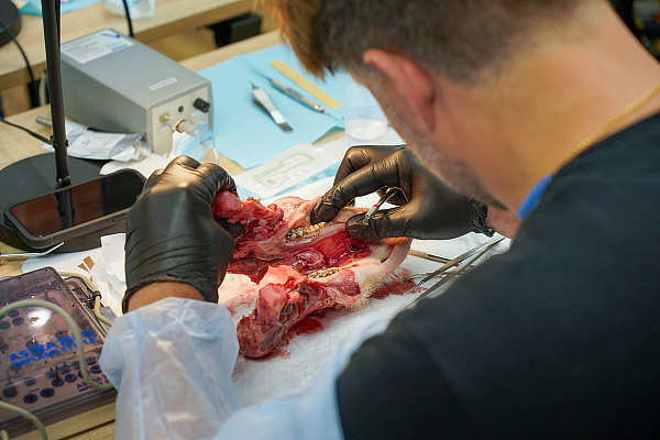 Зограбян 18_06_6.jpg